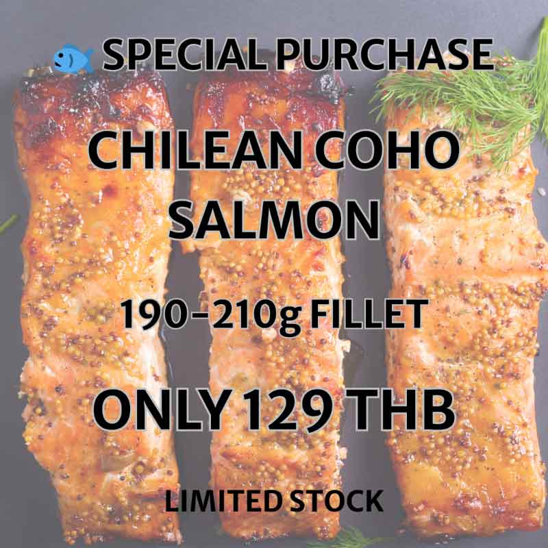 Coho Salmon